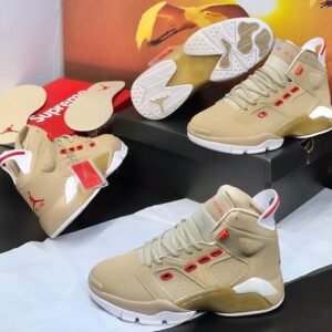 Air Jordan 6 sneakers