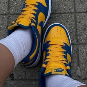Nike sb sneakers