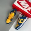 Nike sb sneakers