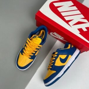 Nike sb sneakers